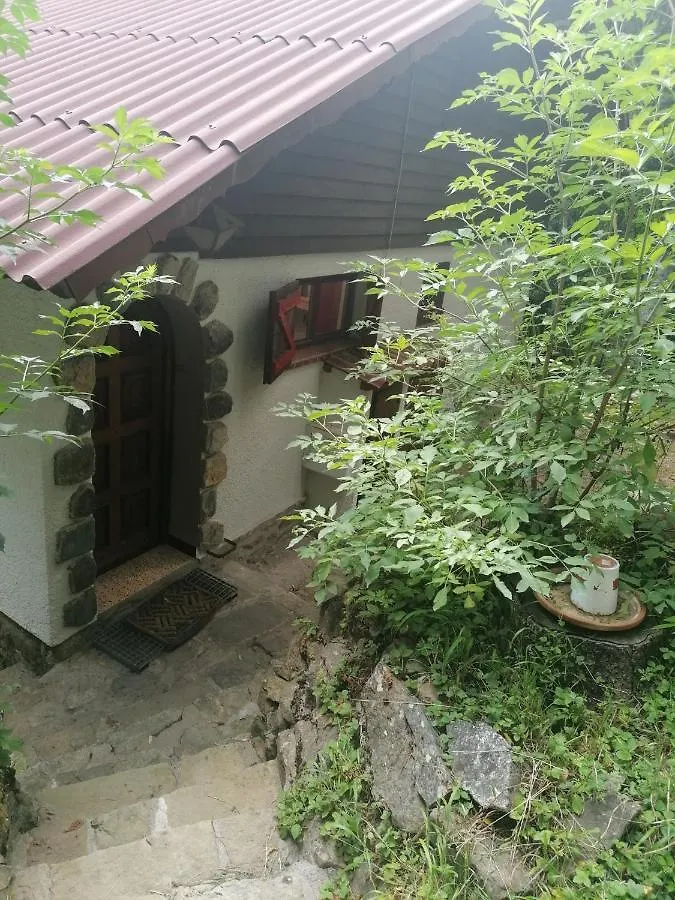 Chalet Le Tyrolien, au coeur du Boréon Saint-Martin-Vésubie 0*,  France